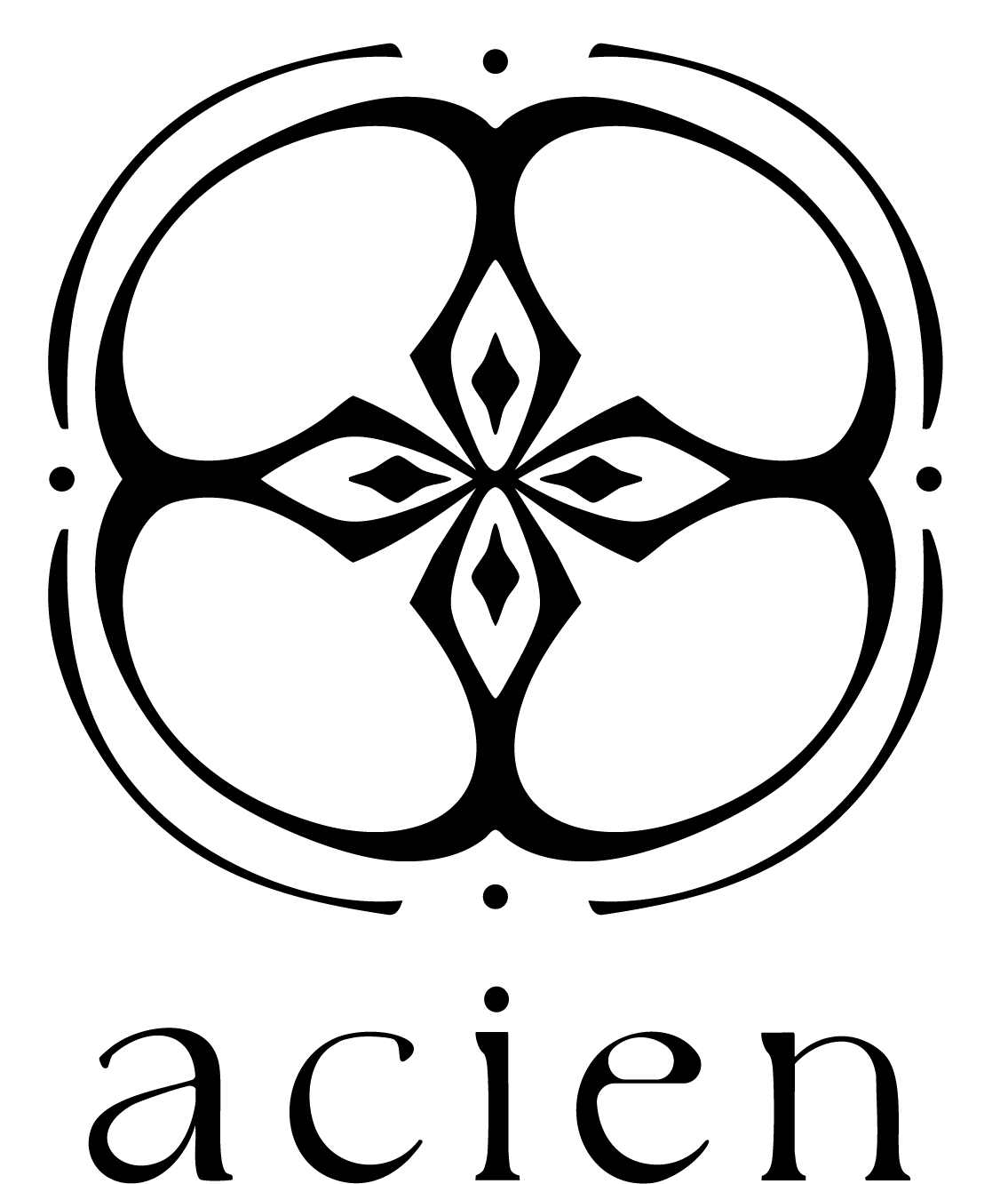 ACIEN logo